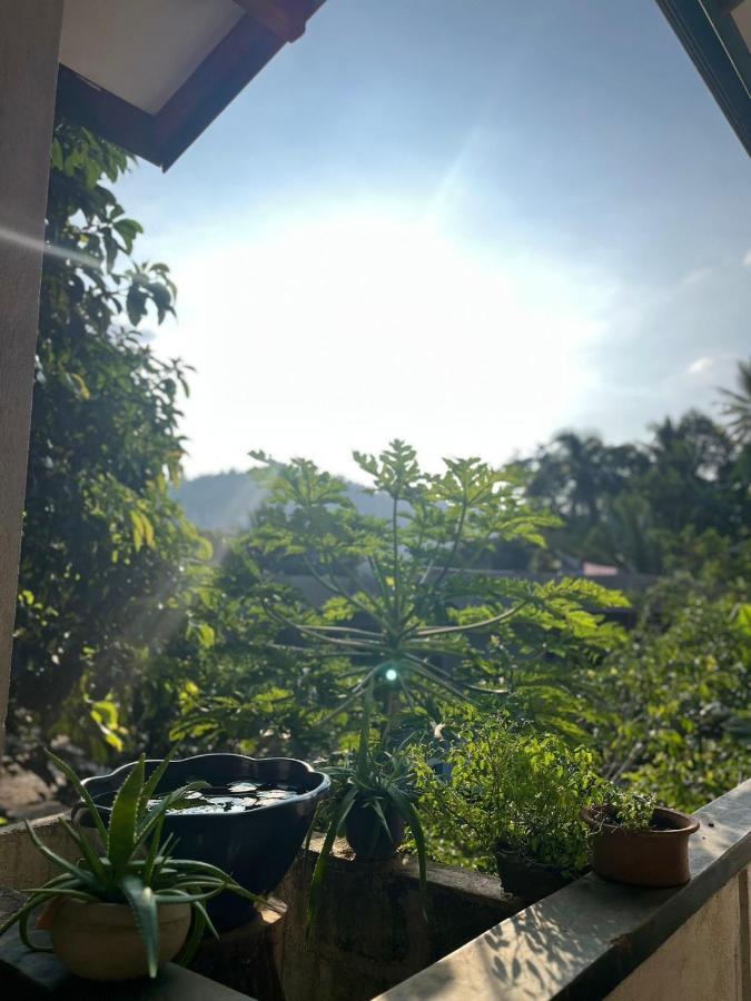 Apartamento Rustic Mahaweli Kandy Exterior foto